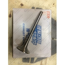 Клапан выпускной WD10, WD615 