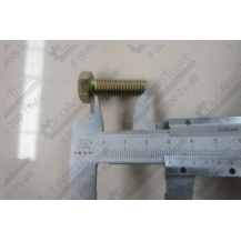 Болт M10*30EpZn-8.8 к трубке 29140000141